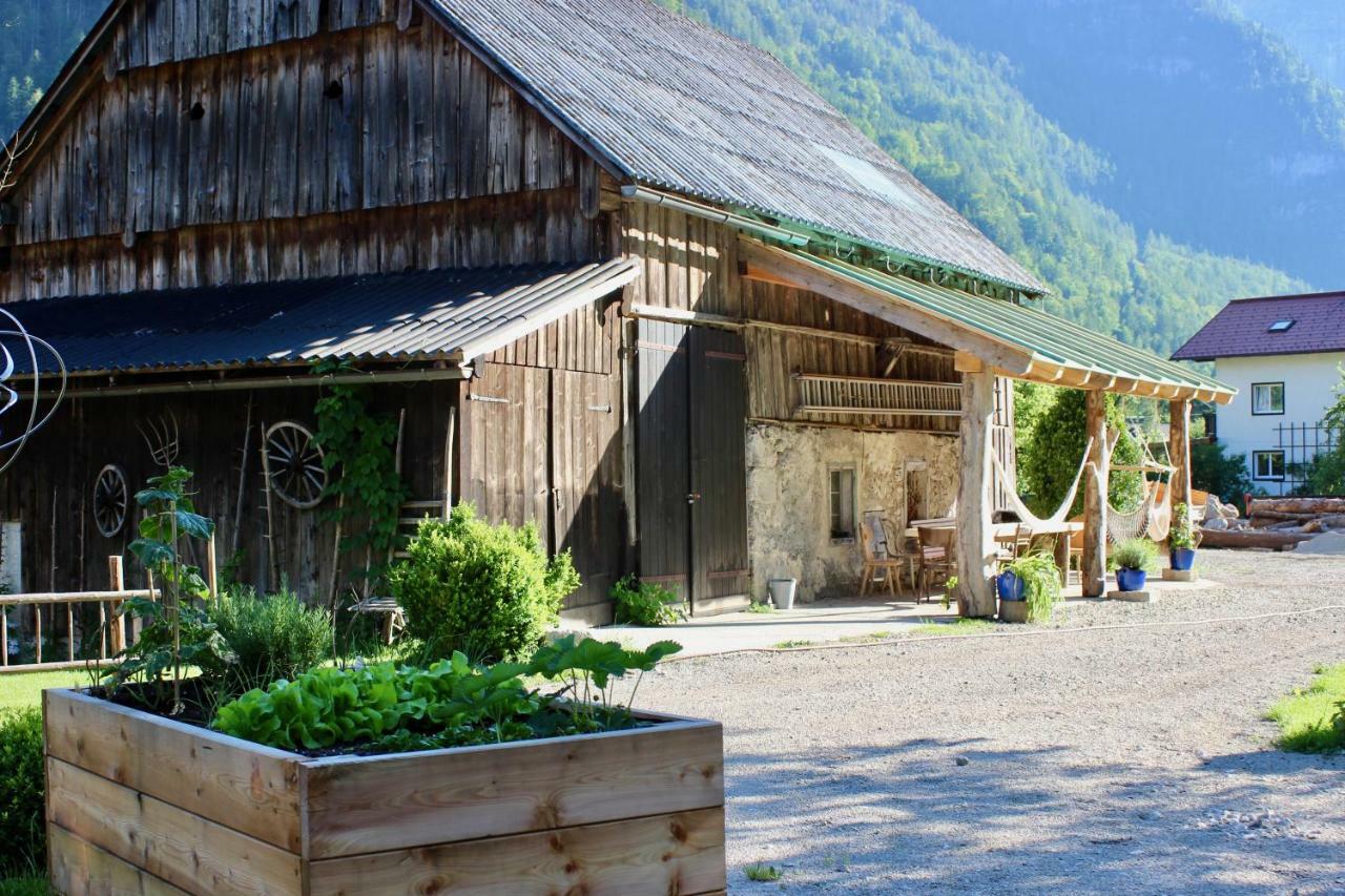 Chalet Am Sonnenhang Obertraun Exterior foto